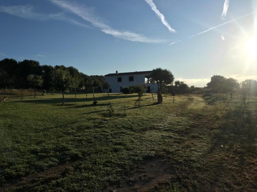 Villa Gaia Arzachena Exterior photo